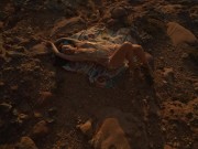 SUNSET GODDESS - SFW 10/16