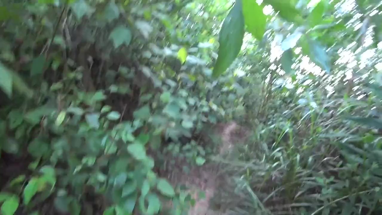 DICK FLASH IN FOREST: Sporty milf caught me jerking off ...