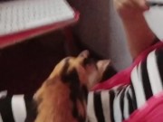 pretty dancing  12/16