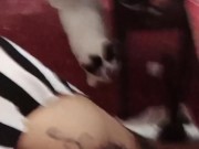 pretty dancing  14/16