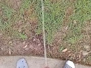 Backyard Risky Pissing