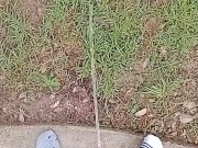 Backyard Risky Pissing 14/16