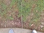 Backyard Risky Pissing 15/16