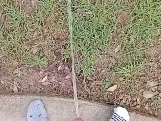 Backyard Risky Pissing 5/16