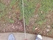 Backyard Risky Pissing 6/16