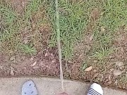 Backyard Risky Pissing 8/16