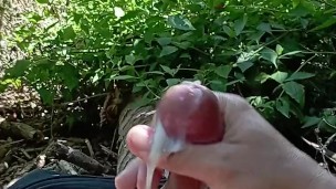 Tesão insaciável… Creampie sem limites!