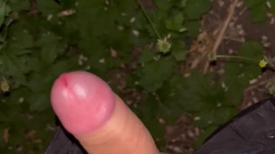 lifting my dick before jerking off