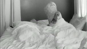 Random Hook Up For Morning Reverse Cowgirl Creampie- Bradley C XXX