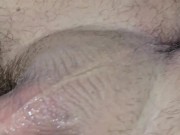 Creamy teddy bear pussy 12/16