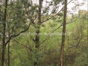 I was touching myself with my desires and my dildo 😈🍆 1/16