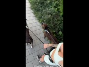 My neighbors always wake up with a nice view 11/16