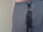 Wetting Compilation 1 Video Loop 11/16