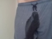 Wetting Compilation 1 Video Loop 16/16