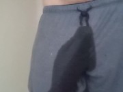 Wetting Compilation 1 Video Loop 2/16