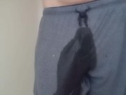 Wetting Compilation 1 Video Loop 5/16