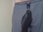 Wetting Compilation 1 Video Loop 8/16