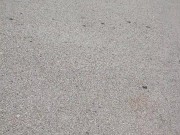 Come with me to piss 🤤 Just got out of the garden 🙊😘 3/16