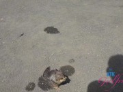 GFE Session with Serena Hill getting head on the beach and fucking her from behind POV 7/16