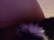 Wearing Fox tail, pussy wants Fucked 12/16