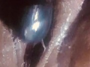 Big Clit Ebony Latina Creamy Fat Pussy MILF 16/16