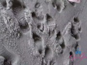 Hanging out with Angel Windell o a quick trip and getting road head POV 5/16