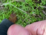 Cum, then pee, then more cum 14/16