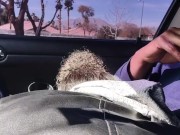 Suck the head of that dick 10/16