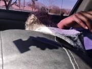 Suck the head of that dick 2/16