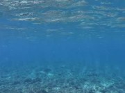 Confusing dream about  philosophizing angel who shows her huge 