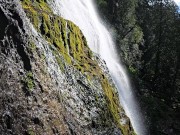 Come with Me While I Pee 5/16