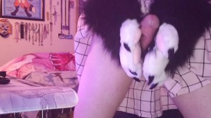 Artemis pawing off for the first time :3