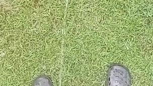 Another long pissing video