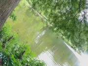 Catch me Naked at the Park 16/16