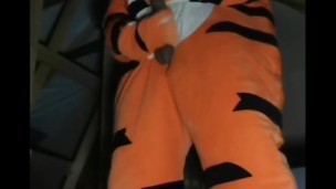 Horny Tiger Cums in Attic 🤤🥵