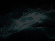 Leather spy spiked captured & bound 5/16