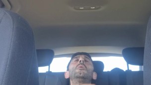 Paja en el asiento de atrás del coche