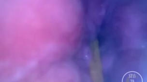 POV: Laying Eggs while You're INSIDE my Ass!