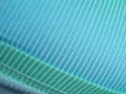 Sneaky Sexy Smoking 10/16