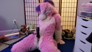 Puppygirl Milked with VacuGlide by Autoblow