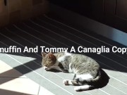 Amateur Milf Italiana ( Squirt ) DIALOGO ITALIANO 11/16