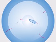 Pussy Examination Swap Trailer 1/16