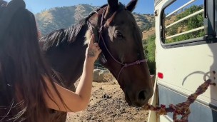 Glory hole, I have a dream of Saving horses by sucking dick.