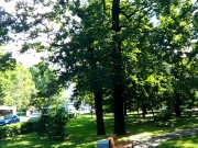 PH Network TItle 11/16