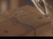 Mysterious Creature Turned Lexi Lore And Melody Marks Carnal 2/16