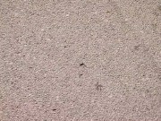 Come with me to pee 🤤😍 4/16