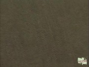 Before hardcore anal begins the brunette deepthroats him and gets her pussy stretched out passionate