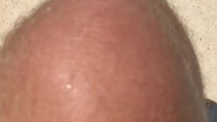Gay Amp