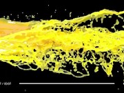 Orange Squeezing 16/16