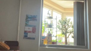 Mummy lonely with many toys in holes